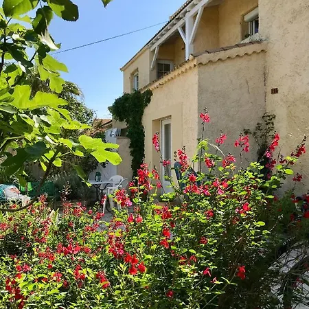 Privative Pres De L'etang De Thau *